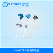 防腐熱電阻